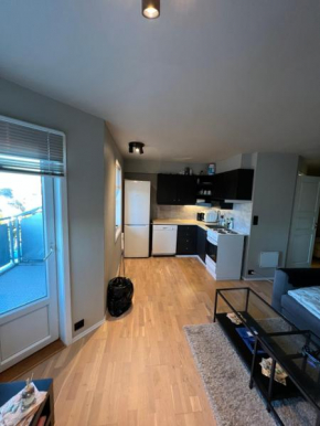 Entire flat centrum with Balcony close to the airport